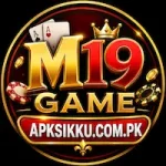M19 Game