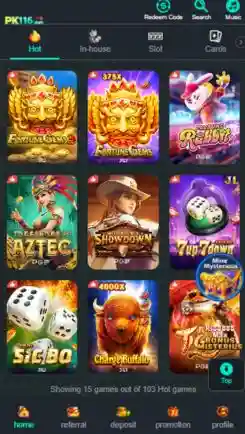 PK116 Game APK